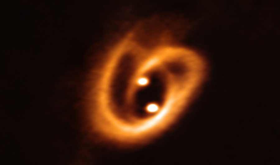Bavarian pretzel-shaped set of circumstellar disks is located 600-700 light-years away in the Barnard 59 dark nebula