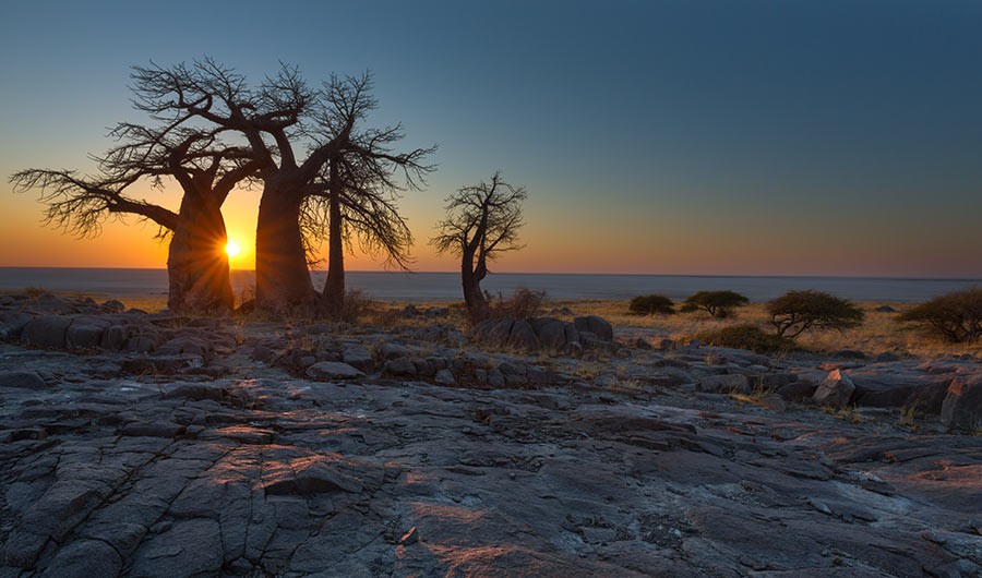 Kabu island, Botswana at dusk. 