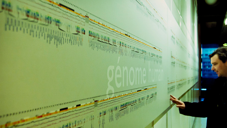 Man pointing hand at wall with genome transcription. 
