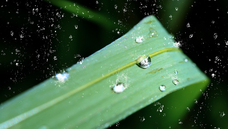 Splashing Droplets Can Take Off Like Airplanes