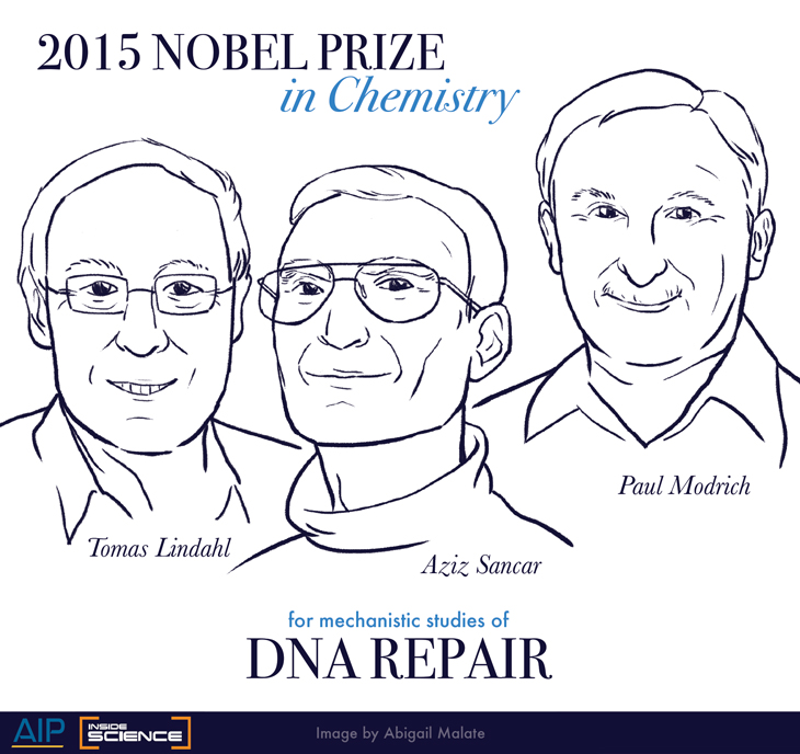 nobel 2015 chemistry winners