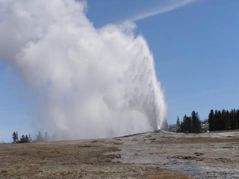 water erupts out of Old Faithful