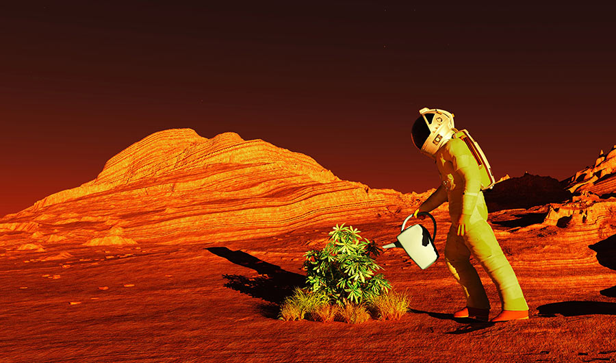 Illustration shows a astronaut in a futuristic suit using a watering can to water a plant on a dusty, red-tinged planet.
