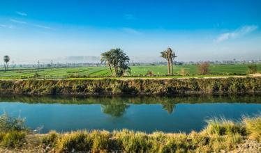 A Nile River irrigation canal, with palm trees and farm land on the other side of the water. 