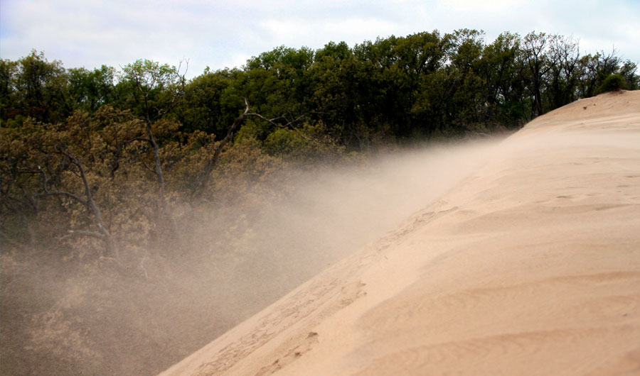 Strange Holes in Indiana Dunes
