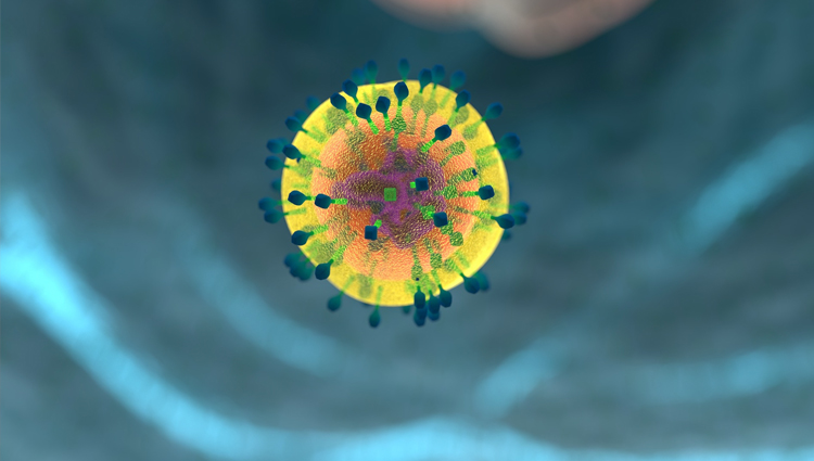 Micrograph of a cell or virus. 