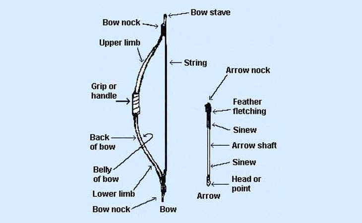 Diagram about archery. 