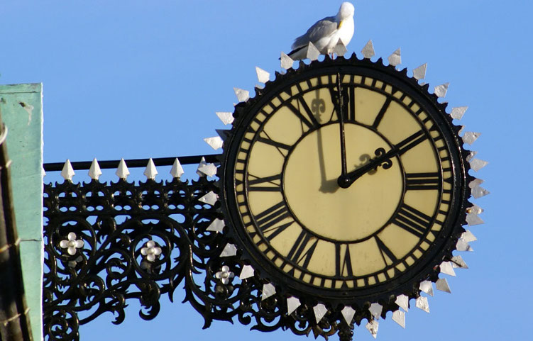 How Circadian Clocks Adjust To Keep Reliable Time 