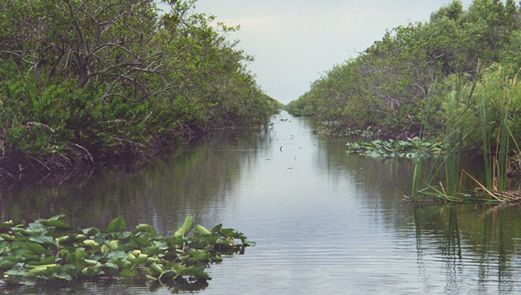 Land Deal to Improve Everglades