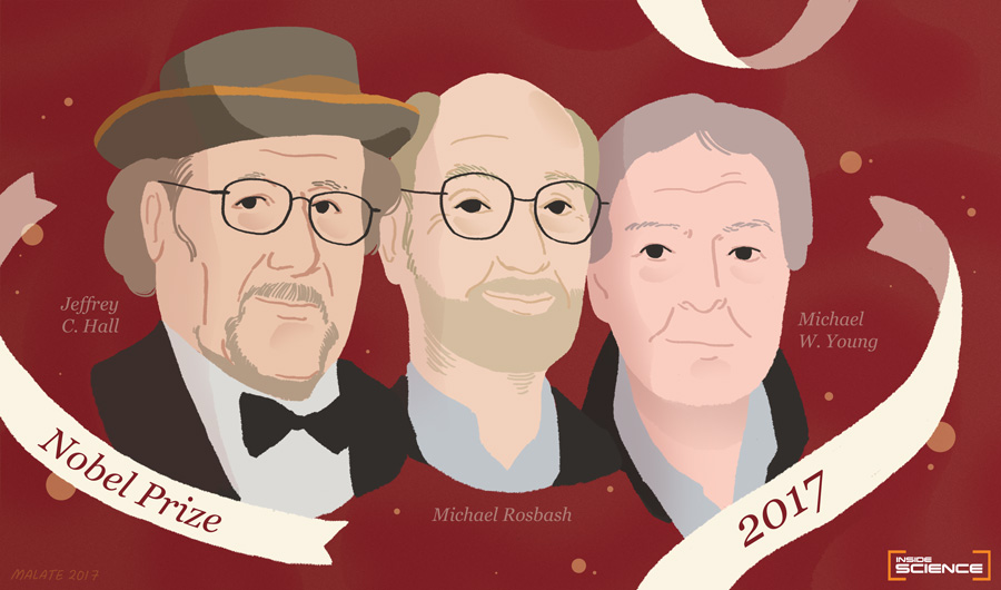 Busts of three Nobel prize winners in Physics, 2017 (illustration). 