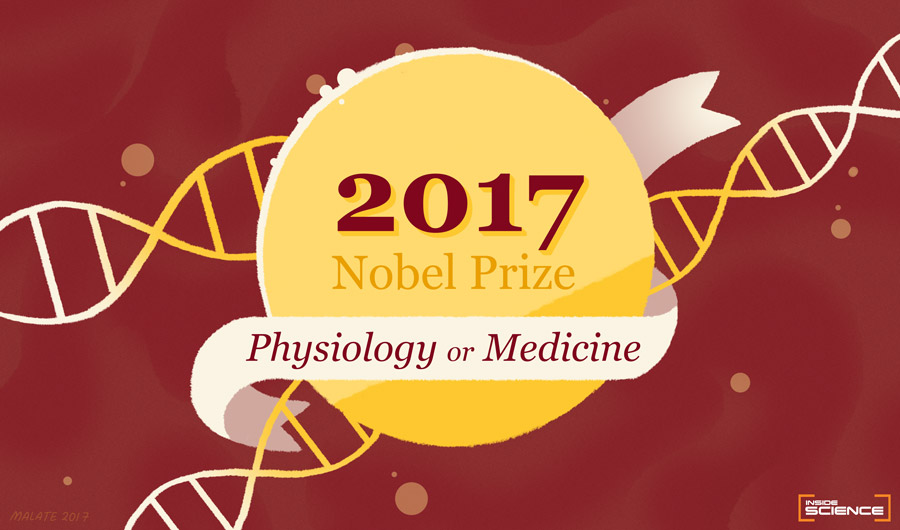 Illustration for 2017 Nobel in physiology or medicine. 