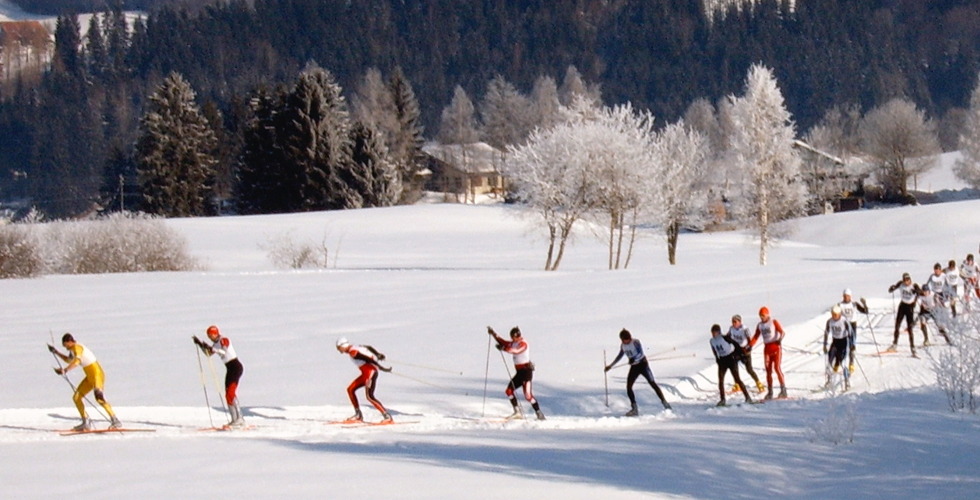 Over a dozen cross country skiers on a snowy trail, all going in a line. 