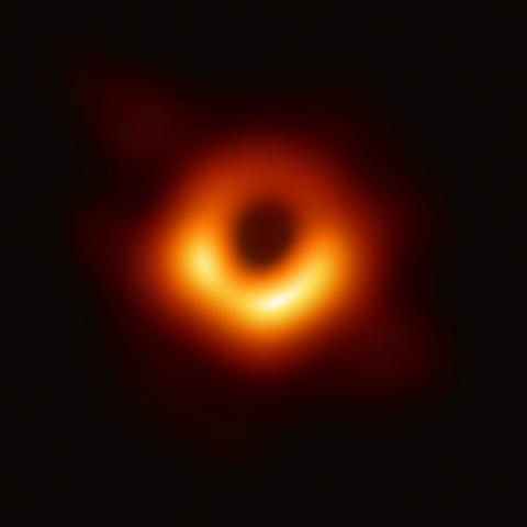 Black hole disk