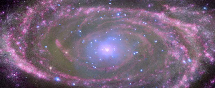 Galaxy M81