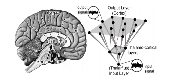 brain firing diagram