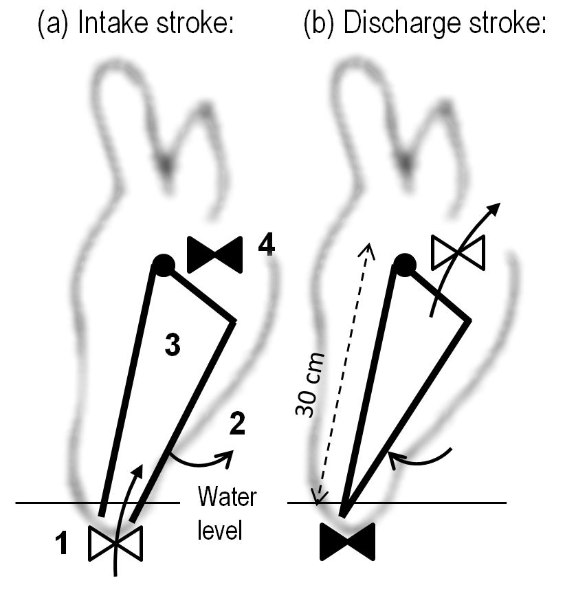 pump stroke diagram