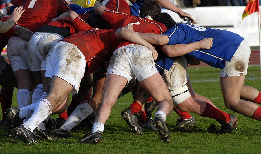 Rugby players in white shorts and either blue or red shirts push against each other during a match.