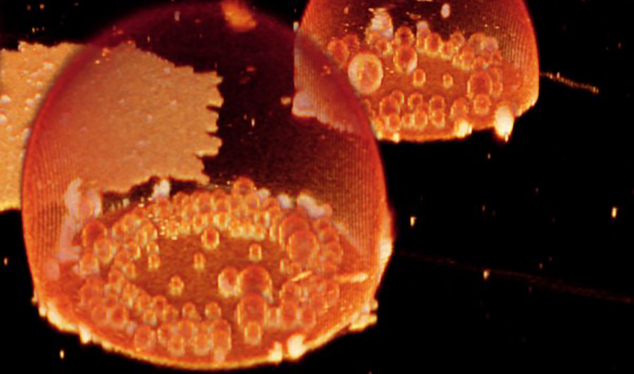 “Protocells” containing bubble-like compartments formed spontaneously on a mineral-like and encapsulated fluorescent dye. This could have been what happened 3.8 billion years ago when cells first began to form.