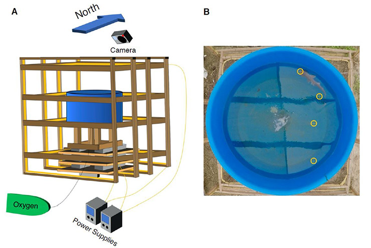 Image shows two views of the water tank used in the experiment, one from the side, surrounded by a wooden cage, and one from above, showing the circular blue tank