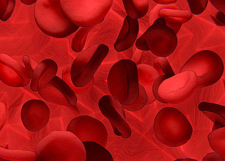 Full frame image of red blood cells with a red background.