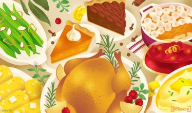 Illustration of Thanksgiving foods