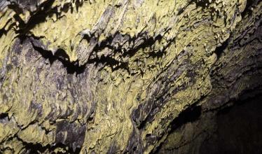 Microbes coat the wall of a lava cave