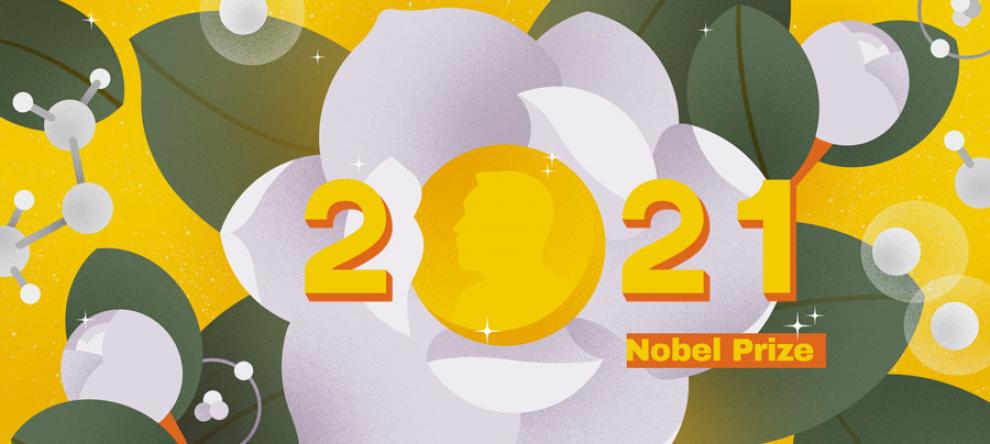 Illustration for Nobel 2021